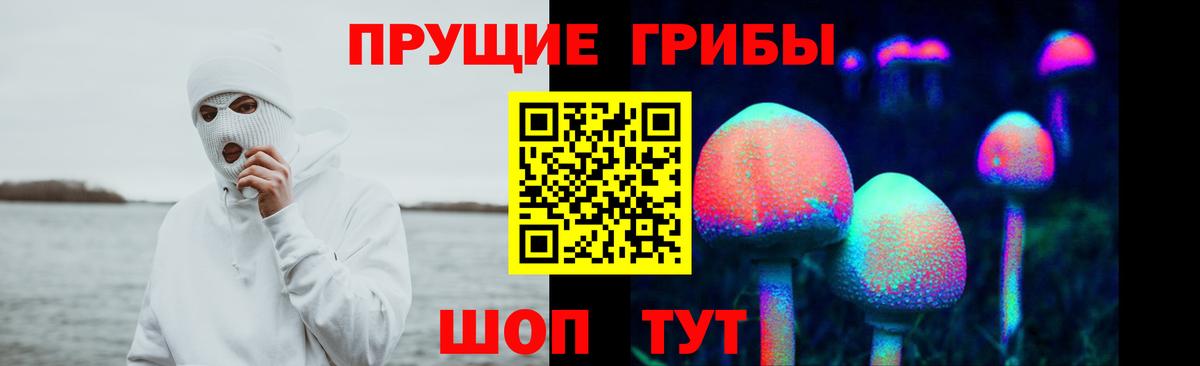Галлюциногенные грибы Psilocybine cubensis Кизляр